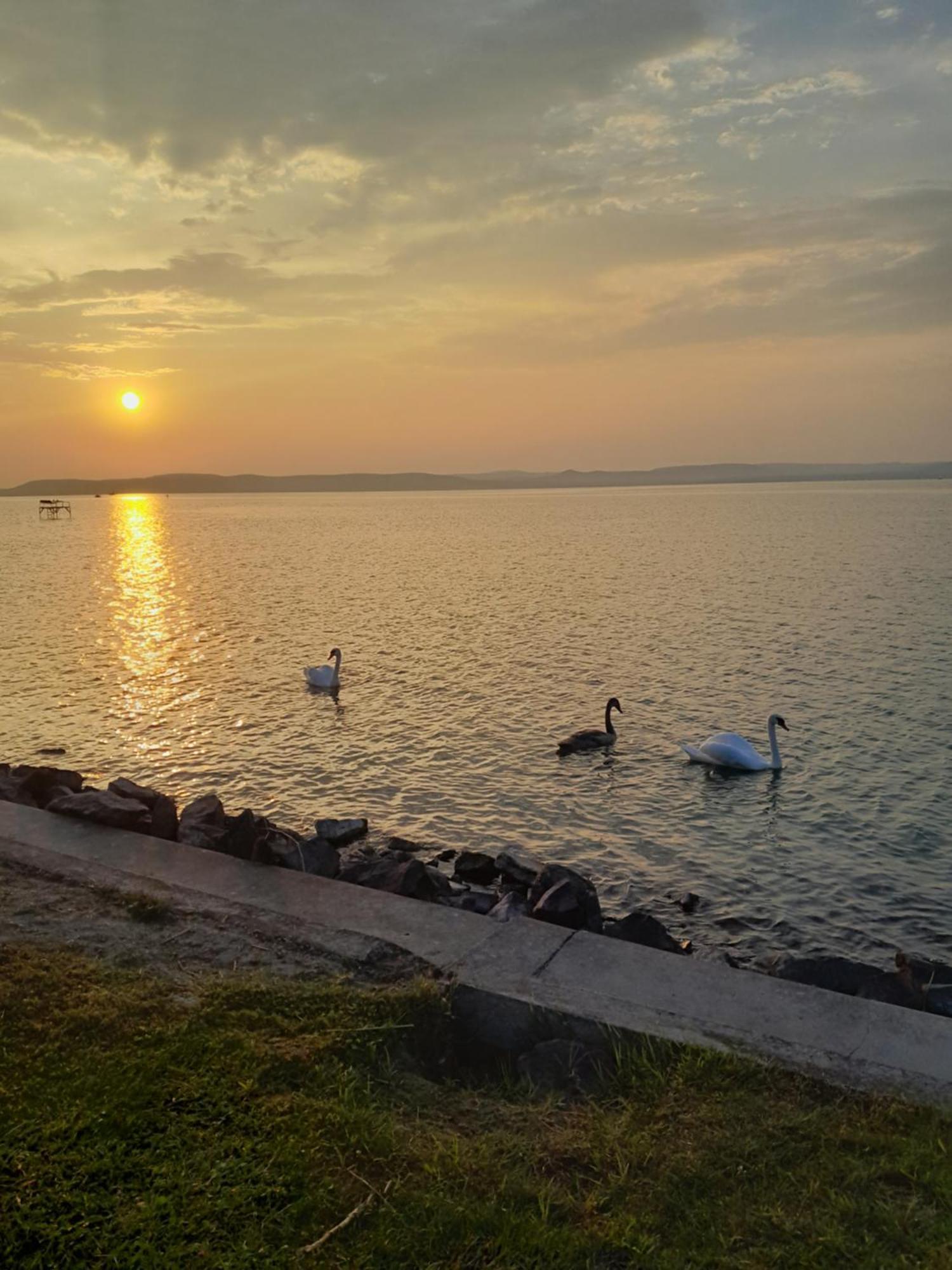 Balatonszárszó Traumlage Direkt Am See מראה חיצוני תמונה